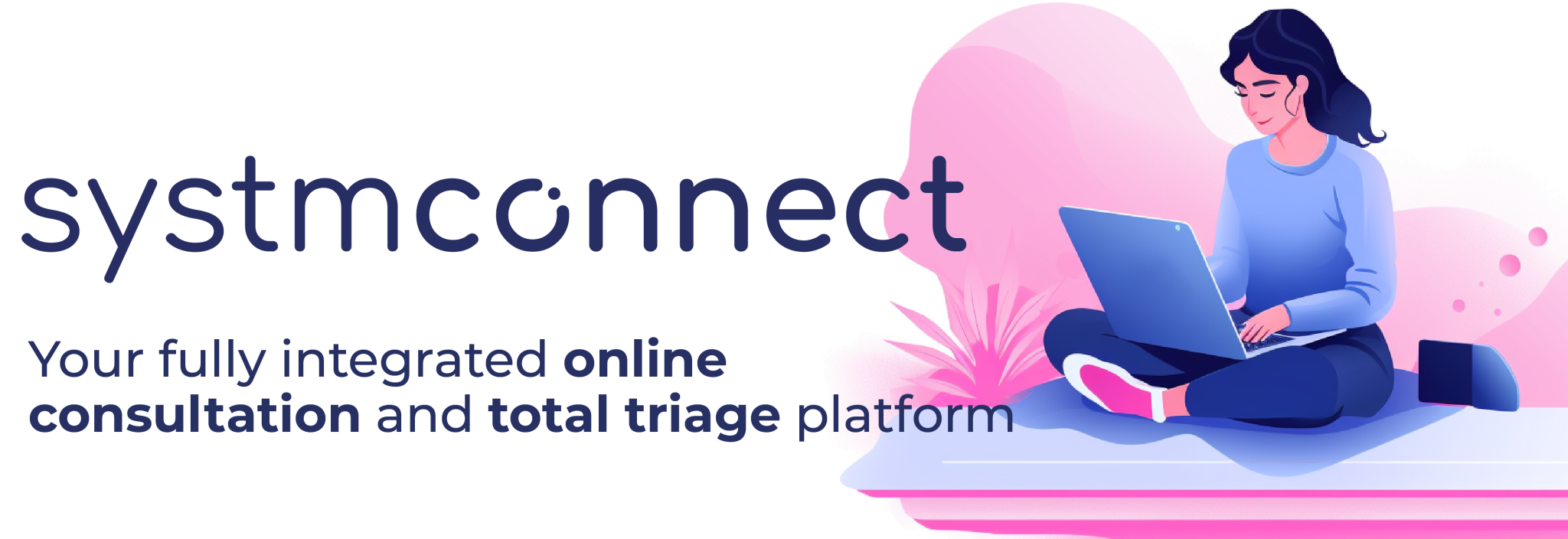 System Connect Banner